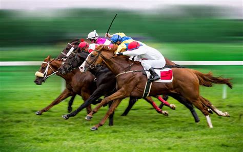 Apostas em corridas de cavalos Cascavel